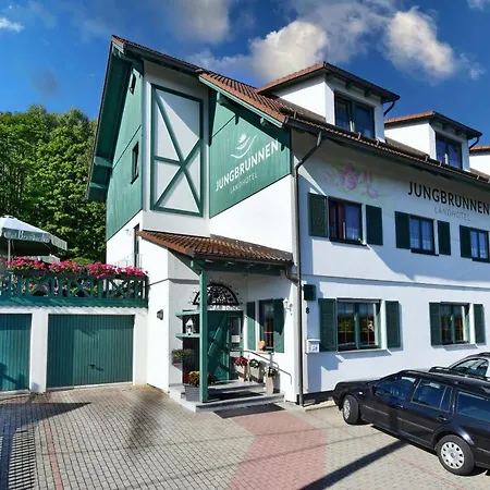 Jungbrunnen 2*