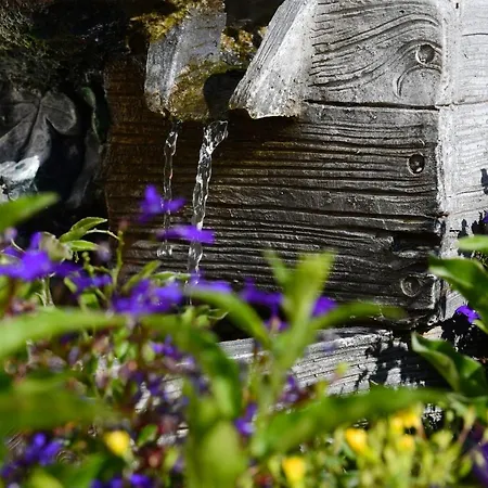 Jungbrunnen Hotel Bad Brambach