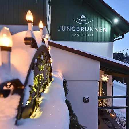 Jungbrunnen 2*