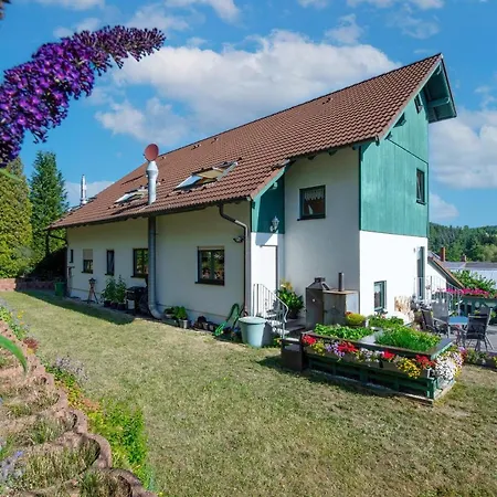 Hotel Jungbrunnen Bad Brambach