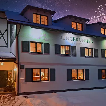 فندق Jungbrunnen 2*