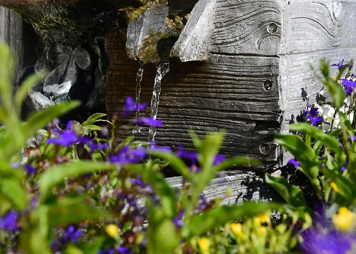 Jungbrunnen فندق باد برامباخ