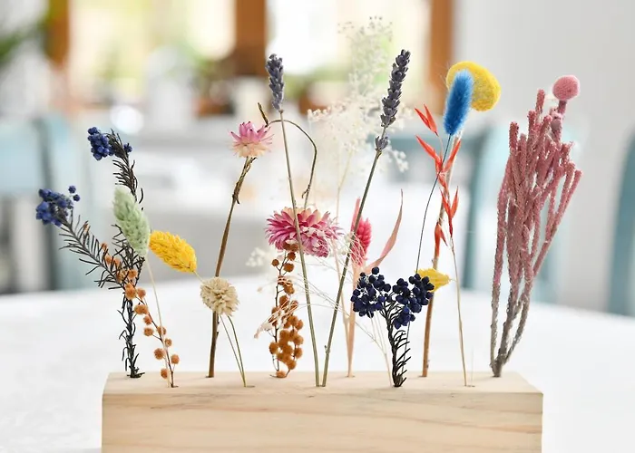 Jungbrunnen فندق باد برامباخ