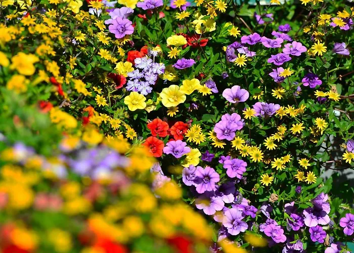 Jungbrunnen فندق