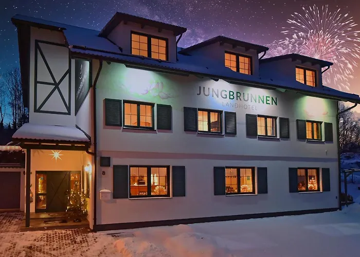 فندق Jungbrunnen 2*